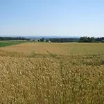 Otel Landgasthof Ritter 3*