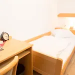 Otel Landgasthof Ritter 3*
