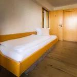 Landgasthof Ritter 3* Villingen-Schwenningen