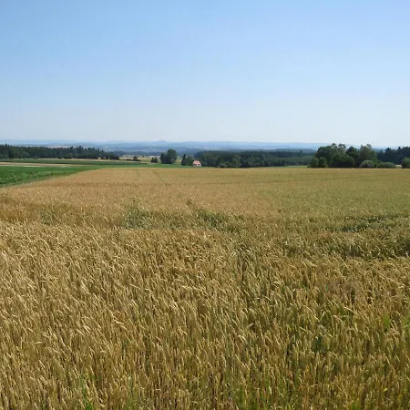 Ξενοδοχείο Landgasthof Ritter 3*