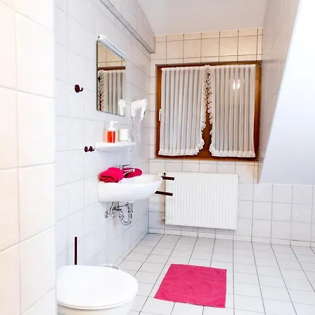 Landgasthof Ritter 3* Villingen-Schwenningen