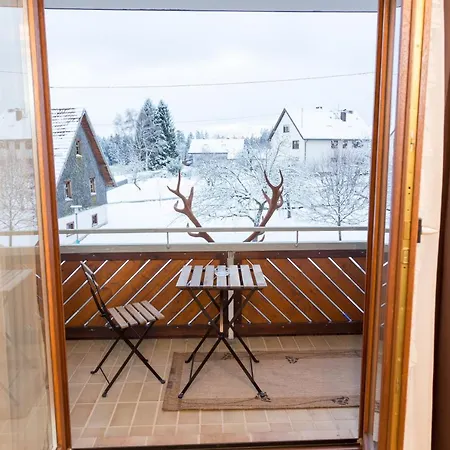 Ξενοδοχείο Landgasthof Ritter 3*