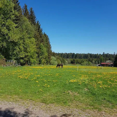 Hotel Landgasthof Ritter 3*