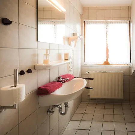 Landgasthof Ritter 3* Villingen-Schwenningen