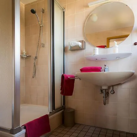 Hotel Landgasthof Ritter Villingen-Schwenningen