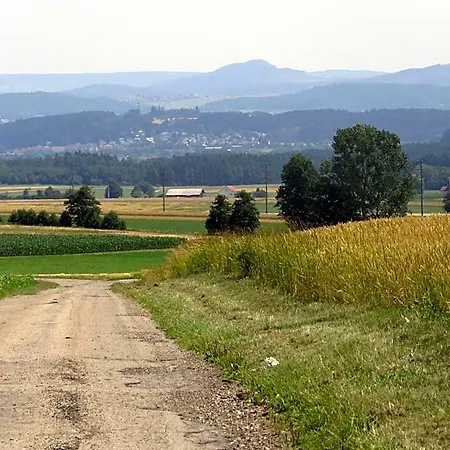Landgasthof Ritter Villingen-Schwenningen
