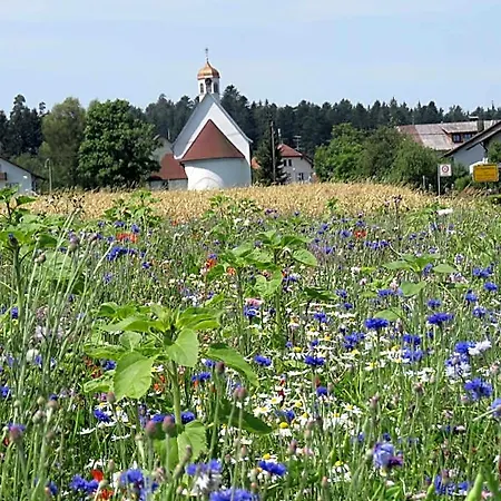 Otel Landgasthof Ritter Villingen-Schwenningen