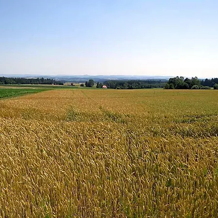 Landgasthof Ritter 3* Villingen-Schwenningen