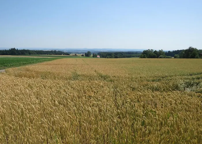 Hotel Landgasthof Ritter 3*