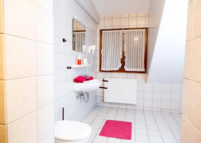 Landgasthof Ritter 3* Villingen-Schwenningen