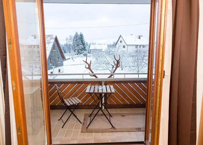 Hotel Landgasthof Ritter 3*