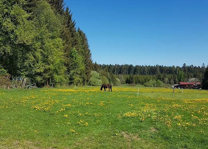 Hotel Landgasthof Ritter 3*