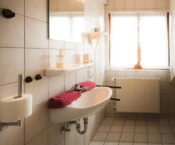 Landgasthof Ritter 3* Villingen-Schwenningen