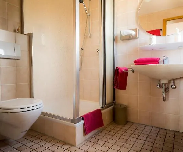 Landgasthof Ritter Hotel Villingen-Schwenningen