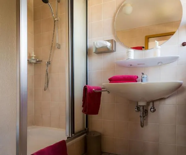 Hotel Landgasthof Ritter Villingen-Schwenningen